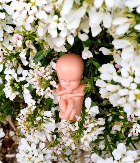 Photo of a small plastic fetus figure on a bed of white flowers