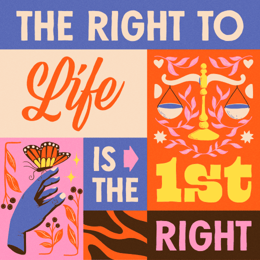 An illustrated graphic featuring the phrase "the right to life is the 1st right"